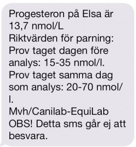 ELSA_VET_PROGGSVAR